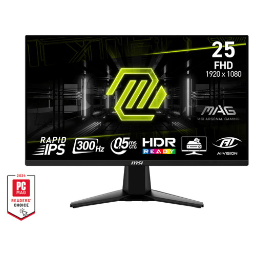 MSI MAG 255XF 24.5' Inch FHD 300Hz Rapid IPS 0.5ms AMD FreeSync Premium Gaming Monitor (3 Years Warranty)